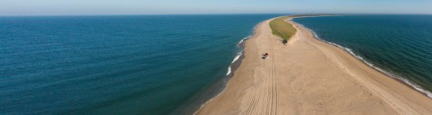 Few People Know About This Massachusetts Peninsula Where Seals Haul Out