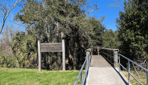 This Secluded Nature Trail In Mississippi Is So Worthy Of An Adventure