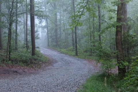 Don’t Put Away That Coat, As Spring 2023 In Georgia Is Predicted To Be Cold And Wet