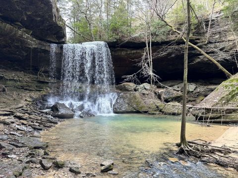 The Ancient Forest In Alabama That's Right Out Of A Storybook