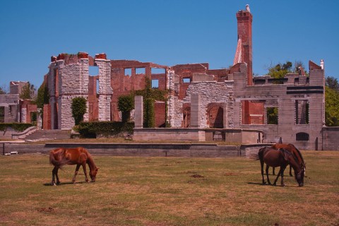 This Fascinating Georgia Mansion Has Been Abandoned And Reclaimed By Nature For Decades Now