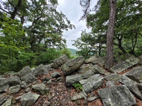 Few People Know About These Pennsylvania Rock Outcrops That Are 600 Million Years Old