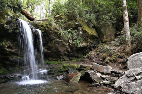 Hike With Llamas At Grotto Falls In The Great Smoky Mountains In Tennessee