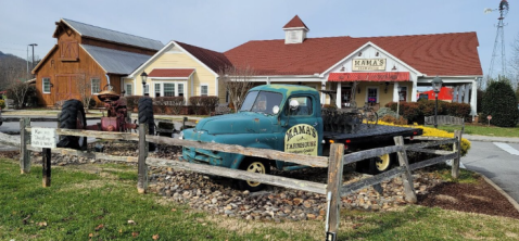 The Unique Restaurant In Tennessee Where Every Order Comes With A Free Toy For Kids