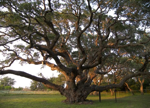 You'd Never Know One Of The Most Incredible Natural Wonders In Texas Is Hiding In This State Park