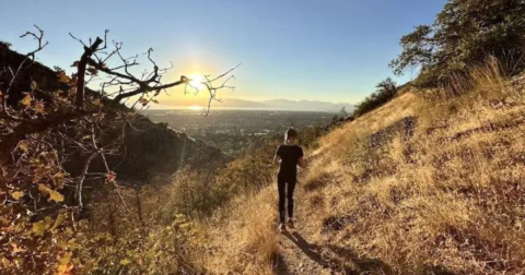 Utah's Rock Garden Trail Is A Work Of Art