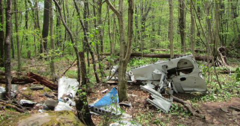 The Incredible Hike In New York That Will Lead You To An Abandoned Plane Crash