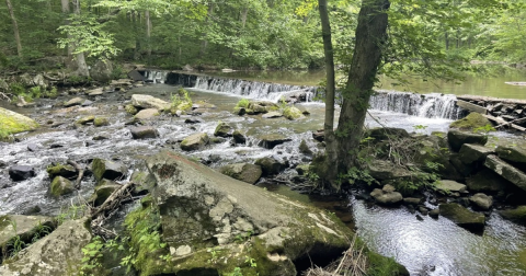 The Marvelous 4.2-Mile Trail In Pennsylvania Leads Adventurers To A Little-Known Waterfall