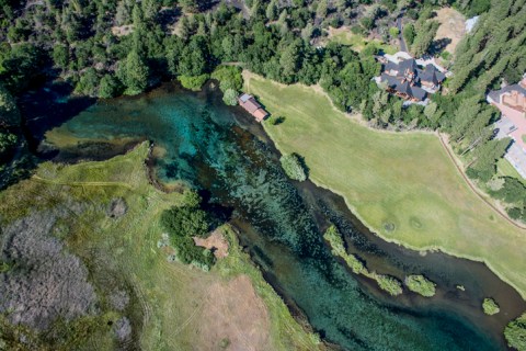 You'd Never Know One Of The Most Incredible Natural Wonders In Northern California Is Hiding In This Small Park