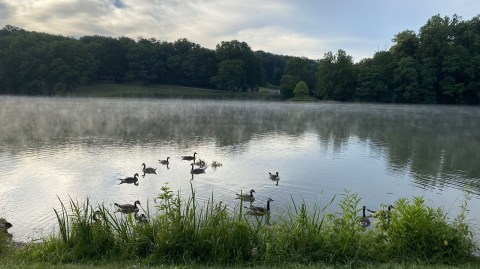 The Indiana Trail That Leads To An Idyllic Pond Is Heaven On Earth