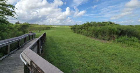 The Marvelous 2.9-Mile Trail In Florida Leads Adventurers To A Little-Known Overlook