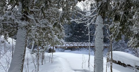 The Little-Known Trail In Michigan That Transforms Into An Ice Palace In The Winter