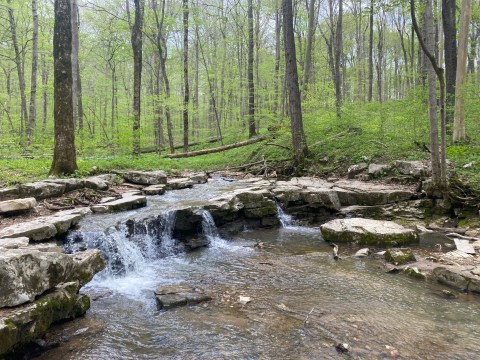 The Hike To This Lush Cave In Indiana Is Positively Amazing