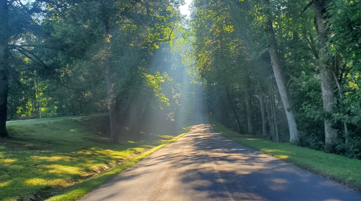 state parks in Virginia