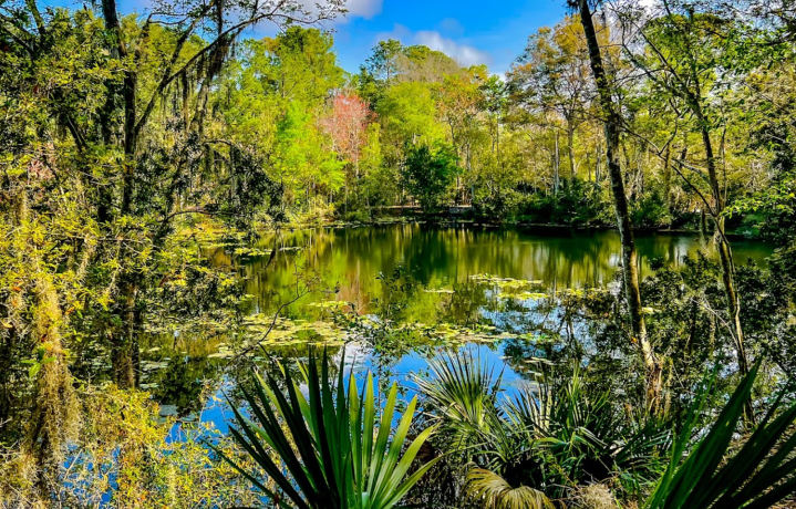 Jacksonville Arboretum & Botanical Gardens