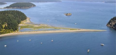 You'd Never Know One Of The Most Incredible Natural Wonders In Washington Is Hiding In This Park