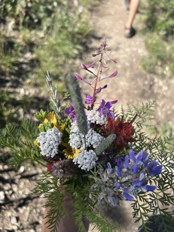 wildflower hikes in Wyoming