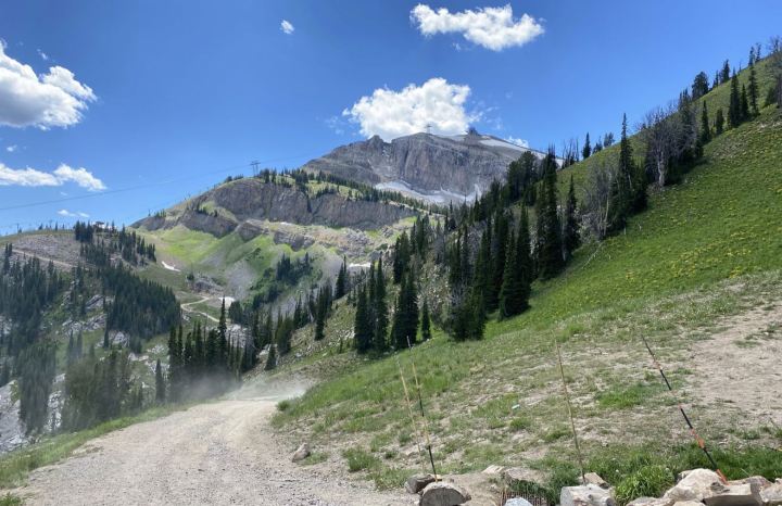 wildflower hikes in Wyoming