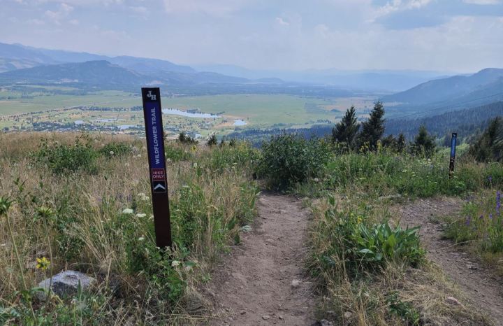 wildflower hikes in Wyoming