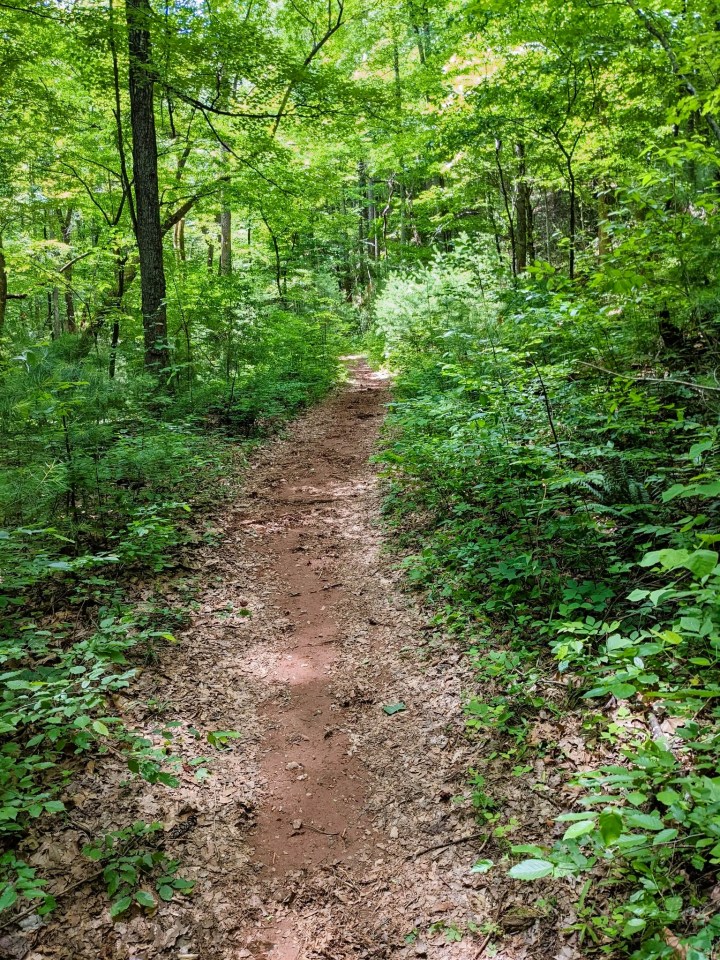 state parks in Virginia