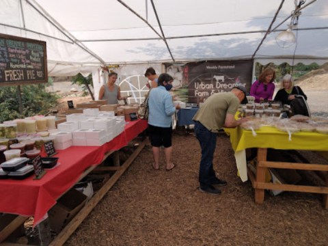 It Should Be Illegal To Drive Through Auburn, California Without Stopping At Urban Dreamer Farmstand