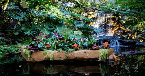 Stroll Through More Than 5,500 Orchids During A Visit To Marie Selby Gardens In Florida