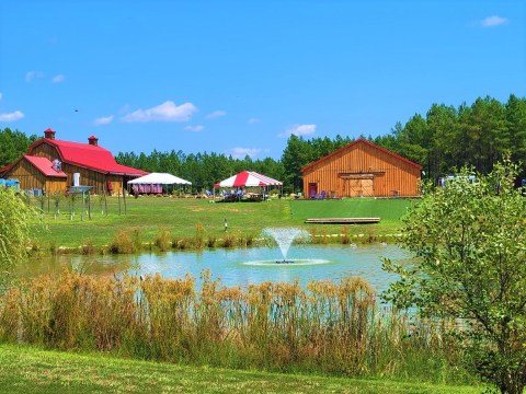 The Remote Restaurant That Serves The Best Mouthwatering Steak In Virginia