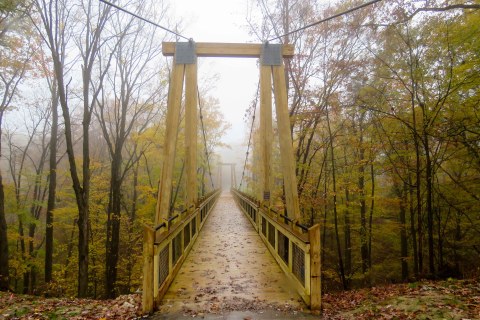 Walk Across A 275-Foot Suspension Bridge On Grand Ravines Loop In Michigan