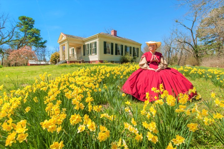 jonquil festival in Washington Arkansas