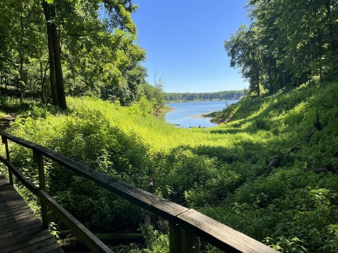 This 1.7-Mile Hike In Indiana Leads You To Amazing Views Of The Dreamiest Swimming Hole