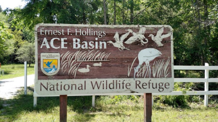 Ace Basin Plantation