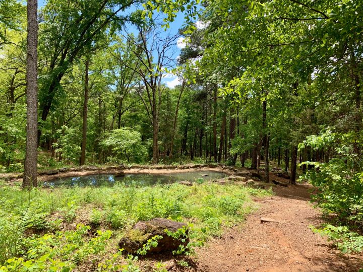 Whispering Pines Nature Trail