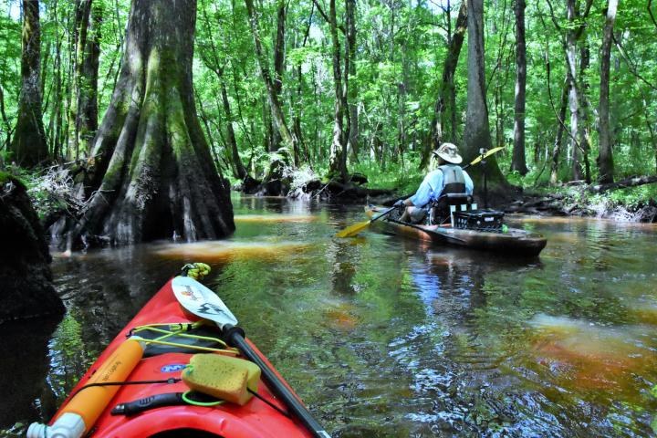 Magical Adventure in South Carolina