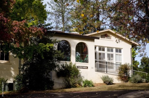 The Cafeteria Serves Some Of The Best Home-Cooked Food In Northern California