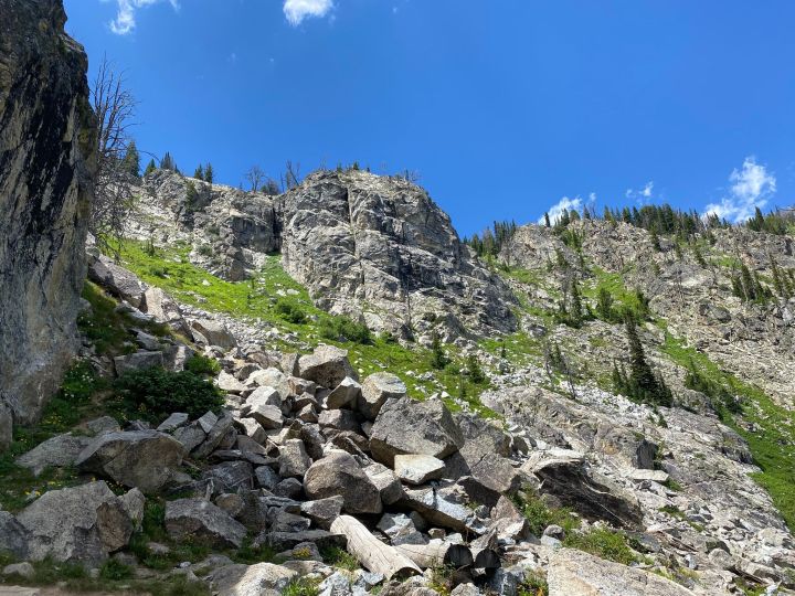 wildflower hikes in Wyoming