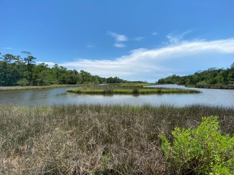 The Davis Bayou Trail In Mississippi Takes You From A Coastal Forest To The Bayou And Back