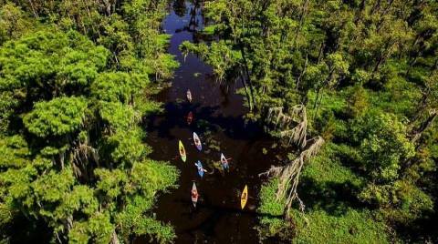 This Kayaking Adventure In Louisiana Is An Outdoor Lover's Dream