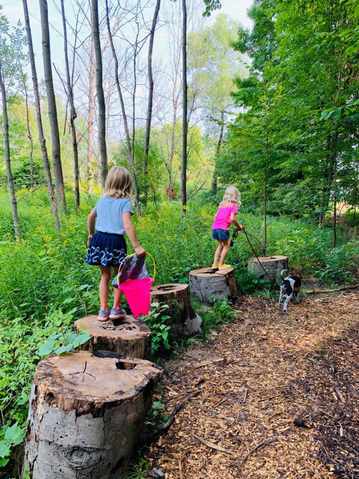 Fairy Garden Traverse City Michigan