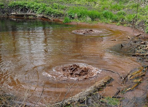 We Bet You Didn't Know There Was A Miniature Mudpot In Minnesota