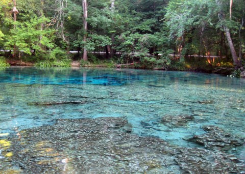 Discover A Little-Known Natural Wonder In Florida On The 3.3-Mile Ginnie Springs Trail