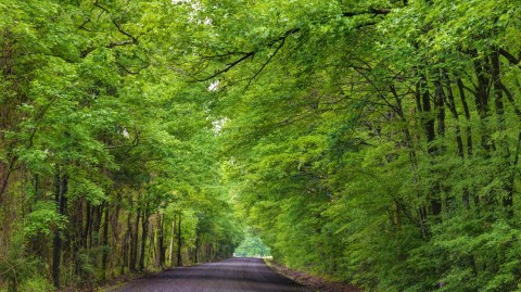 Known As The 'Gateway To The Ozarks”, The Small Town Of Dover, Arkansas Is Surrounded By Natural Beauty