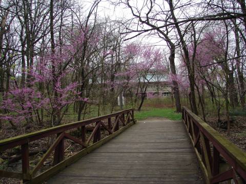 There Are More Birds Than There Are Miles Along This Beautiful Hiking Trail In Illinois