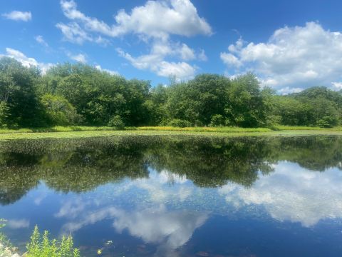 The Hike To This Gorgeous Rhode Island Pond Is Everything You Could Imagine