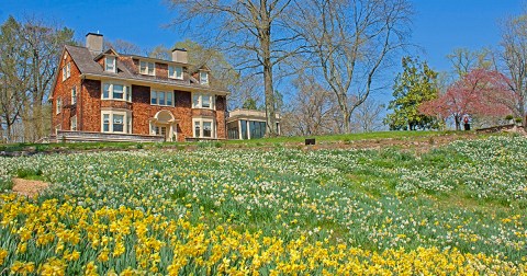 Enjoy The Most Colorful Spring Festival In New Jersey at Reeves-Reed Arboretum's Daffodil Day