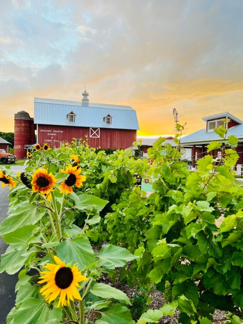 The Friendly Small Town In Wisconsin That's Perfect For A Spring Day Trip