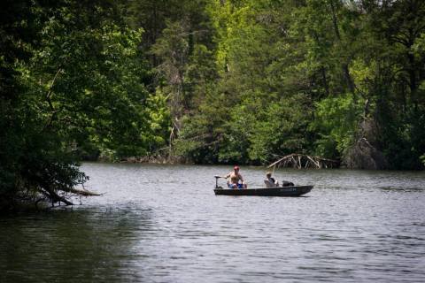 The Hike To This Gorgeous Indiana Swimming Hole Is Everything You Could Imagine