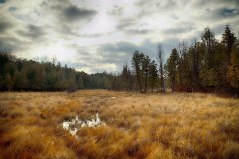 You'd Never Know One Of The Most Incredible Natural Wonders In Ohio Is Hiding In This Tiny Park