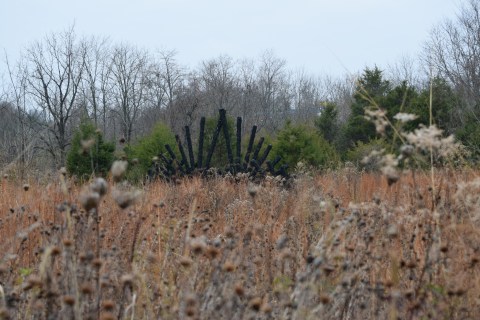 Spend A Spring Day Admiring Art And Nature At This Lovely, Little-Known Park In Kentucky