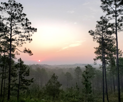 After A Day Of Hiking In Louisiana’s Kisatchie National Forest, Check Into The Rustic Sky Horse Camp To Relax