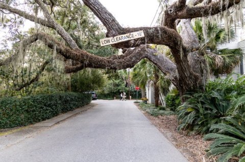 The Friendly Small Town In South Carolina That's Perfect For A Spring Day Trip